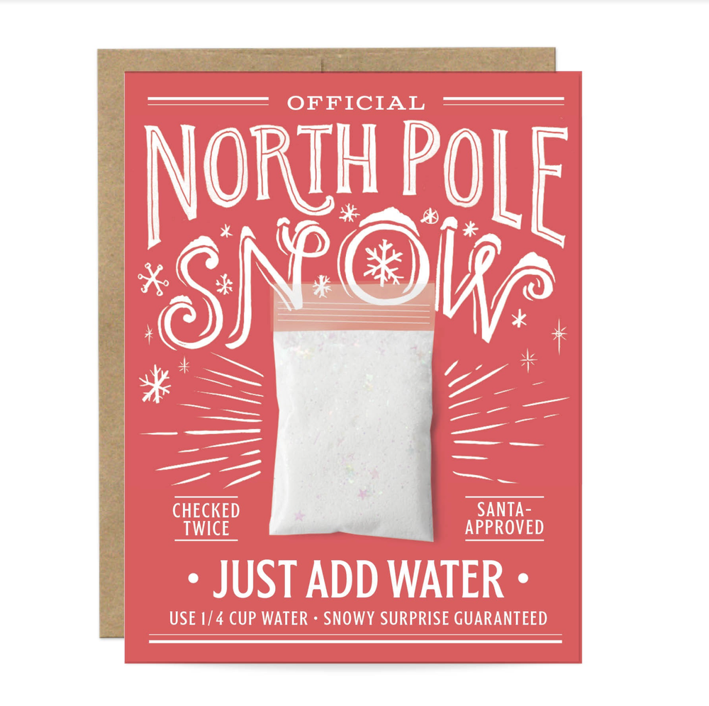 Snowy Surprise Made in USA Christmas Card — ASPEN GRANGE